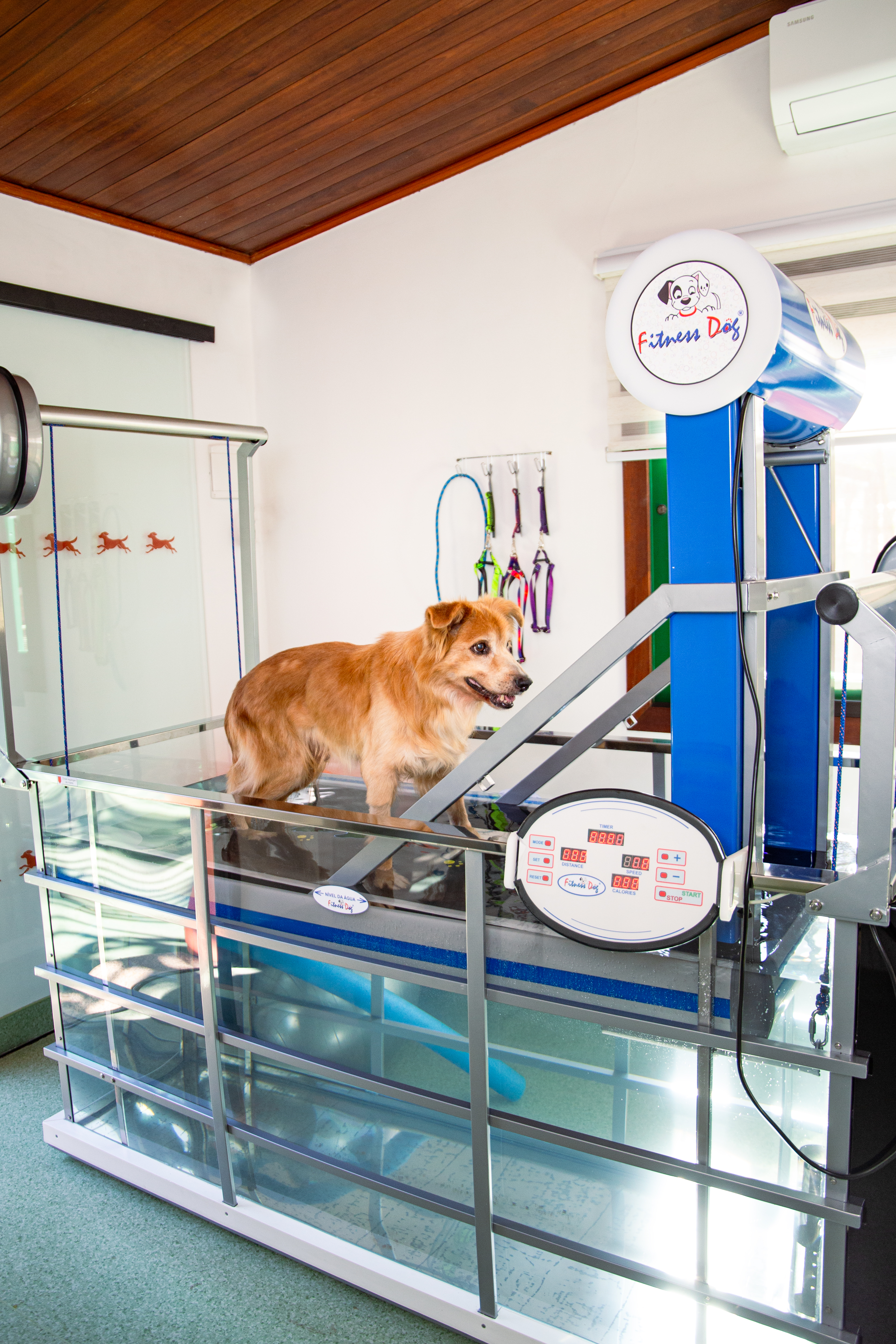 tbl_content image 184